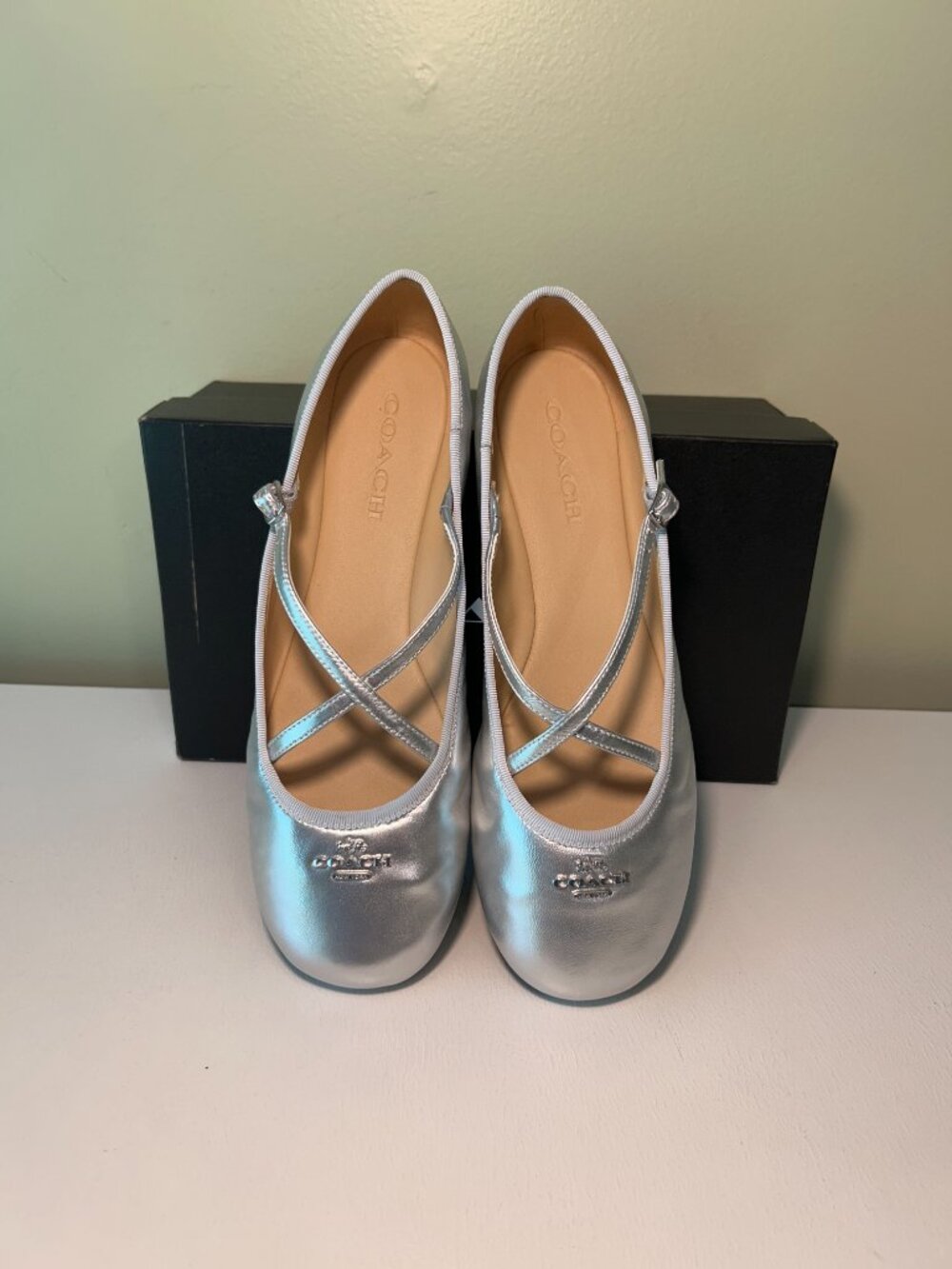 Coach Women's Phoebe Leather Ballet Flats